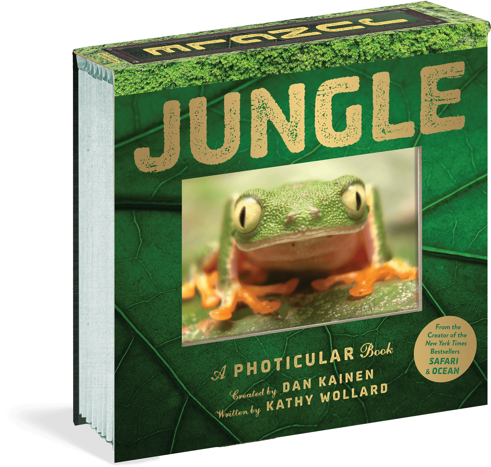 Jungle Photicular Book Cover PNG Image