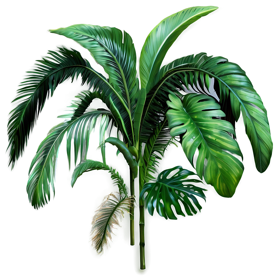 Jungle Plants Png 13 PNG Image