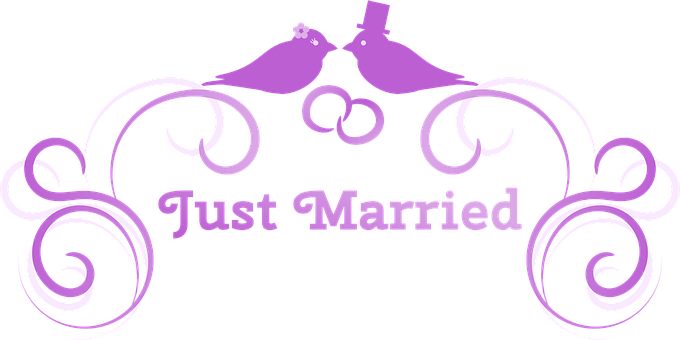 Just Married Birds Graphic PNG Image