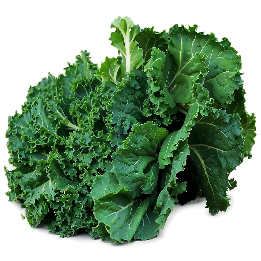 Kale C PNG Image