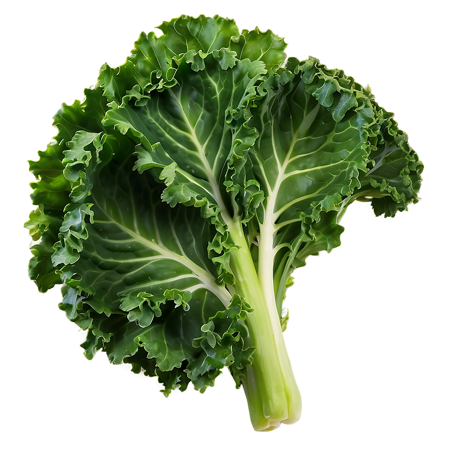 Kale D PNG Image