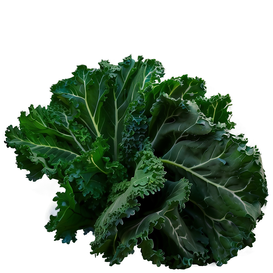 Kale Field Png Ynw PNG Image