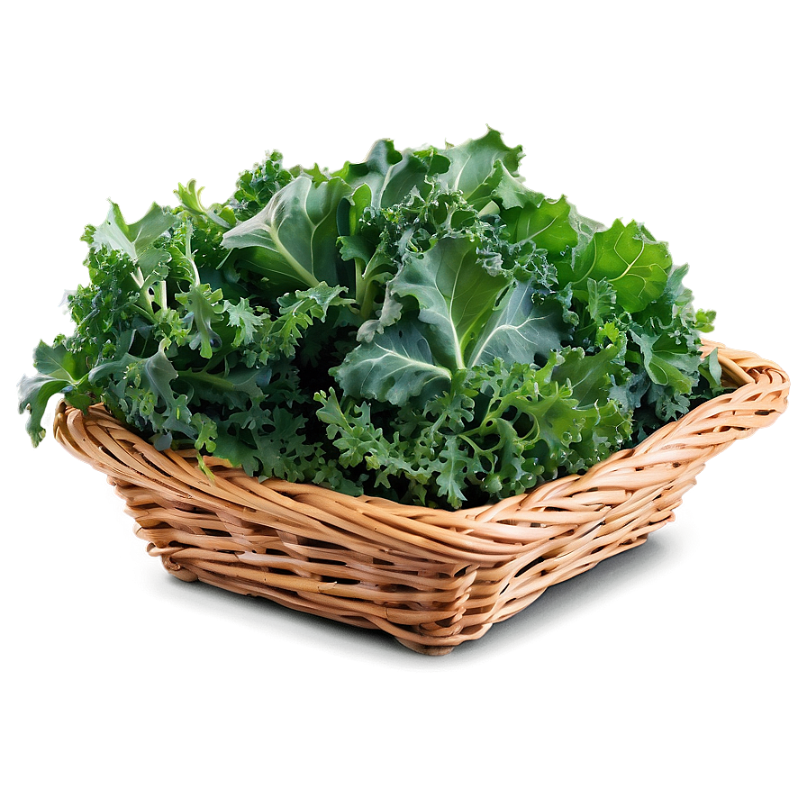 Kale In Basket Png 06252024 PNG Image