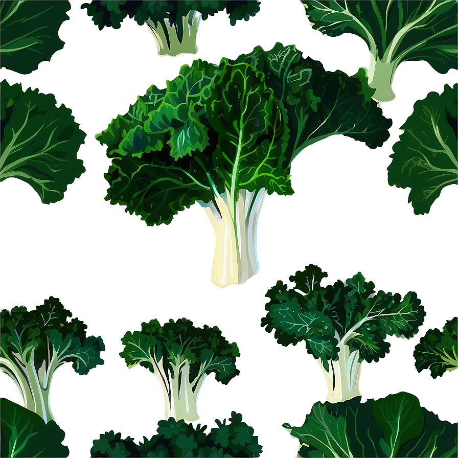 Kale In Sunlight Png 06252024 PNG Image