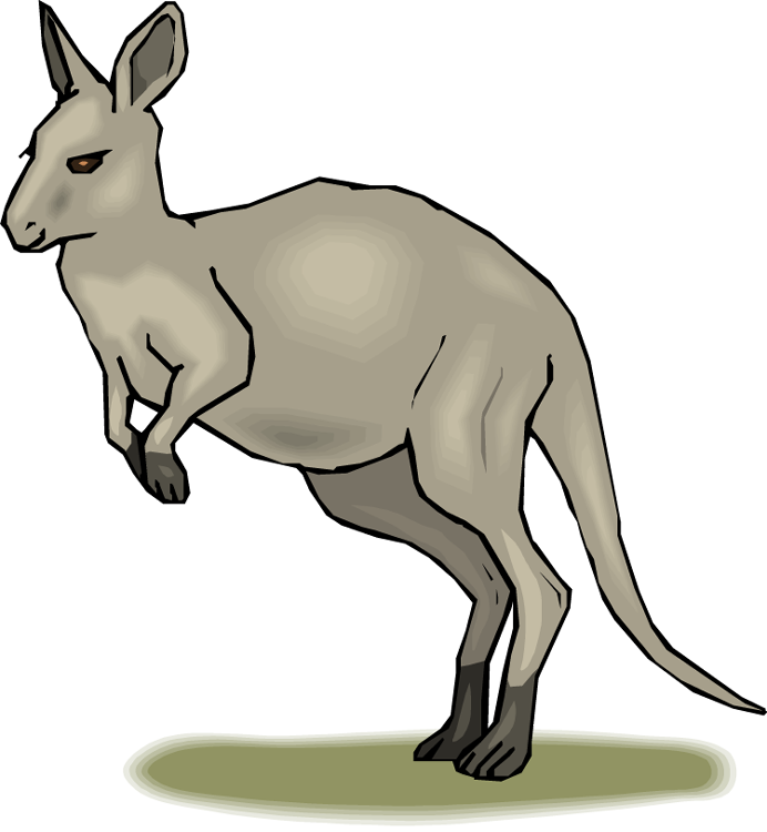 Kangaroo Cartoon Illustration PNG Image