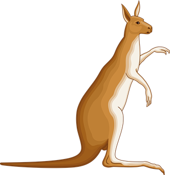 Kangaroo Vector Illustration PNG Image