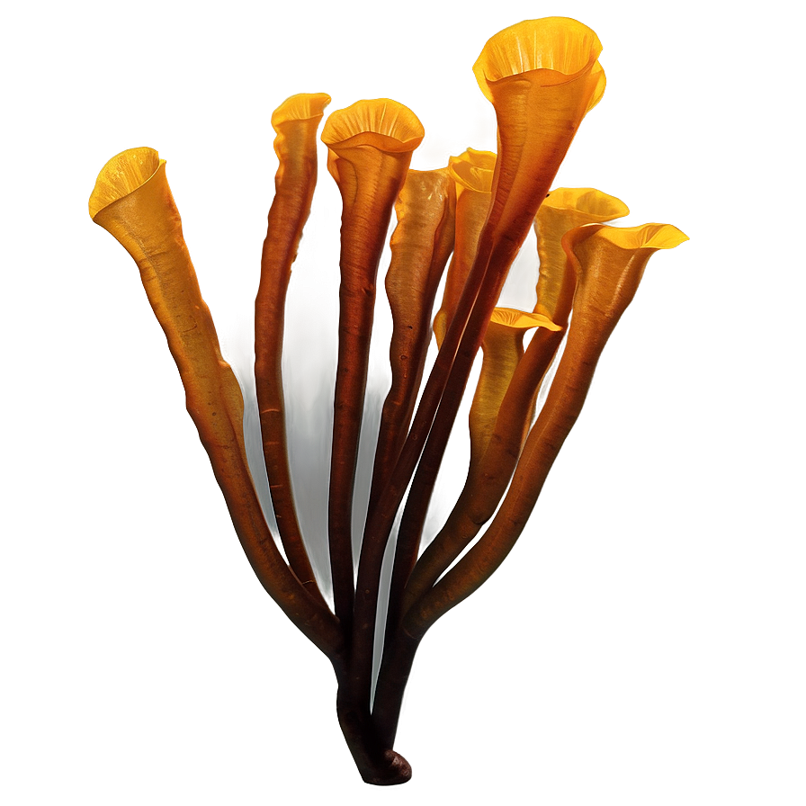 Kelp Forest Seaweed Png Hlq PNG Image