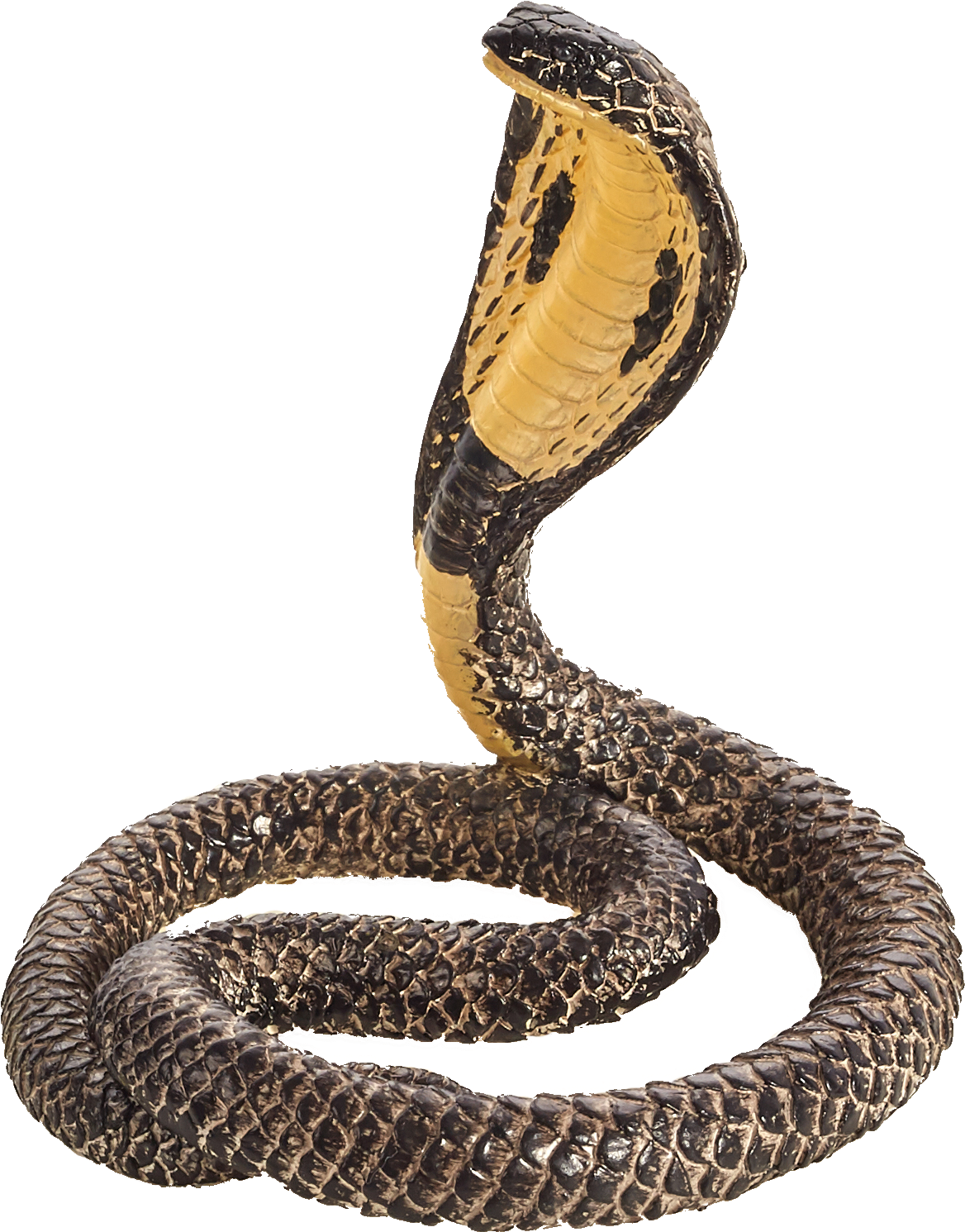 King Cobra Displaying Hood PNG Image