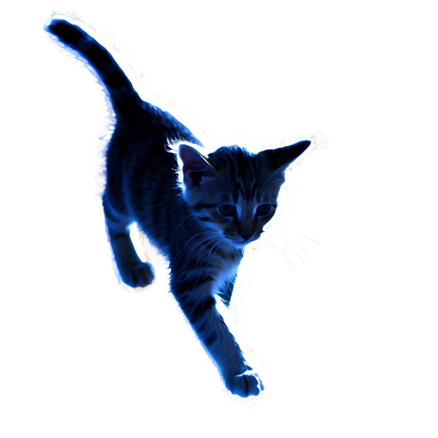 Kitten Ear Silhouette Png 38 PNG Image