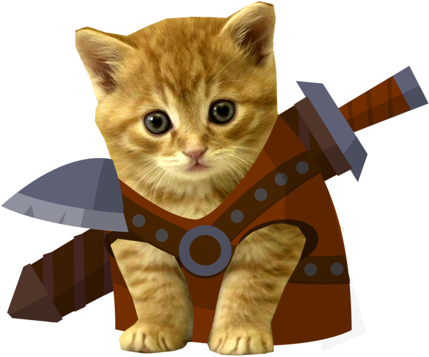 Kitten Warrior_ Costume Fantasy.png PNG Image