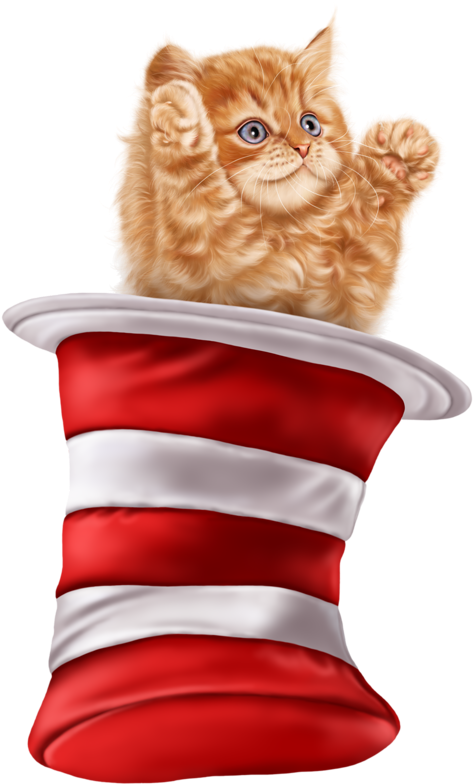 Kitteninthe Hat PNG Image