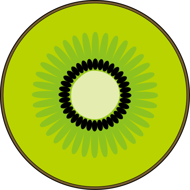 Kiwi Fruit Cross Section Vector PNG Image