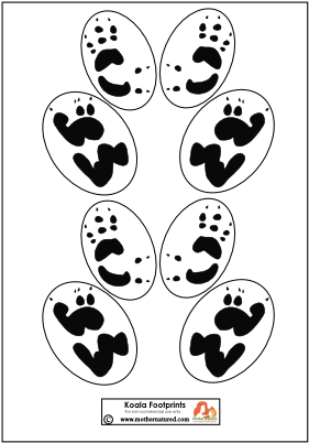 Koala Footprints Illustration PNG Image