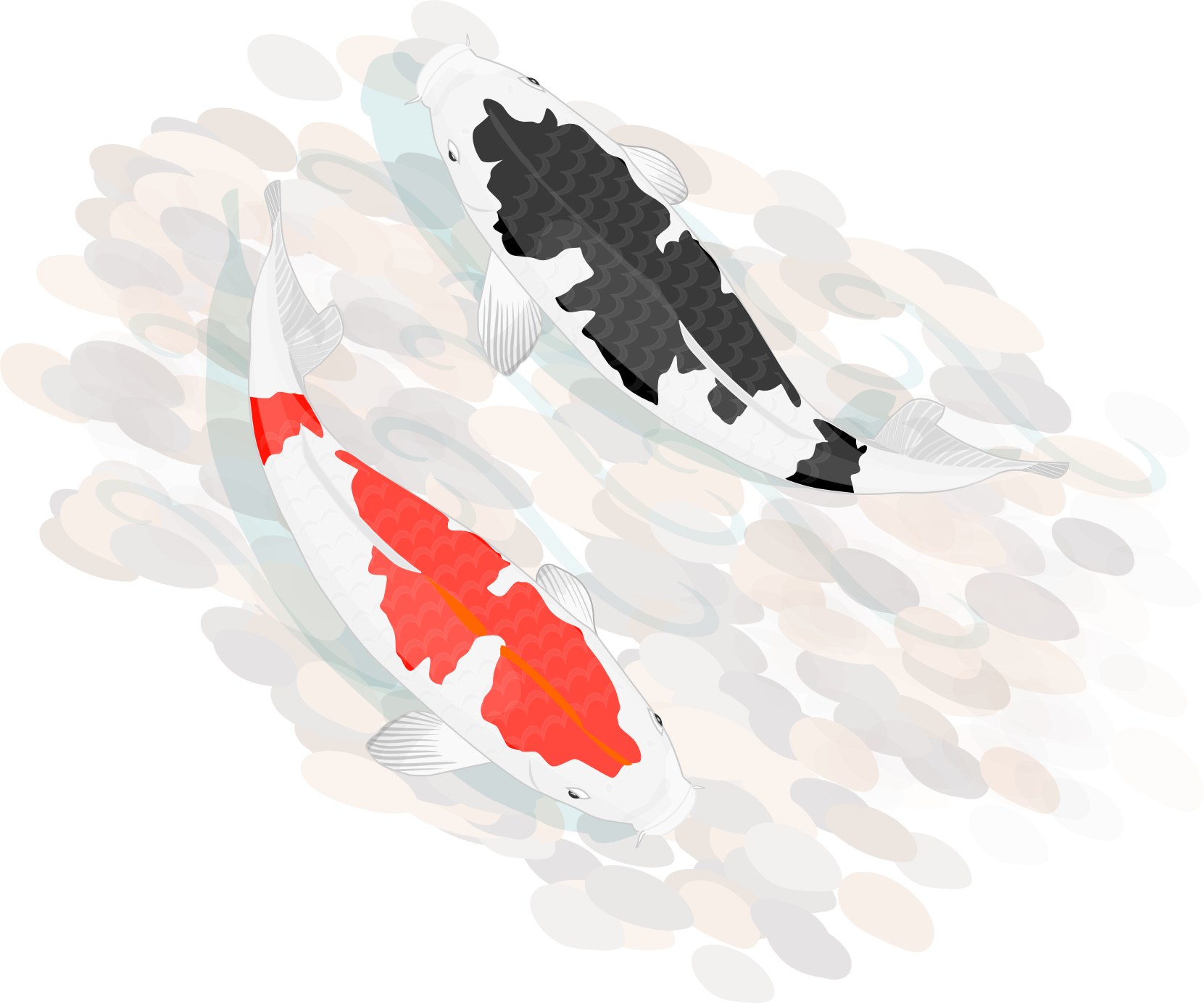 Koi Carp Pond Artwork PNG Image