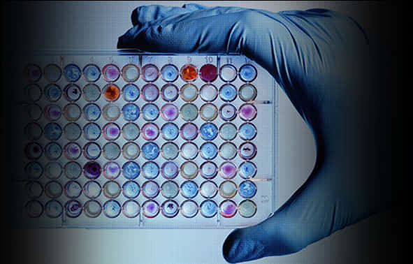 Laboratory Microplate Assay Analysis PNG Image