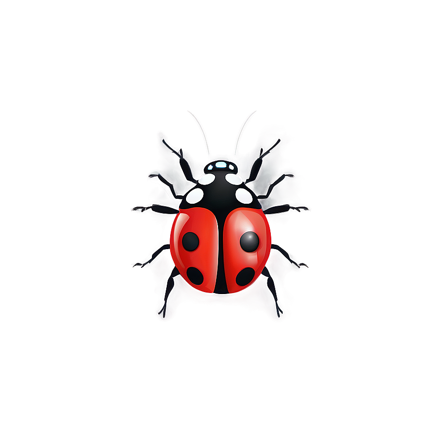 Ladybug Illustration Png Dms PNG Image