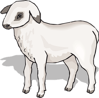 Lamb_ Illustration_with_ Shadow PNG Image