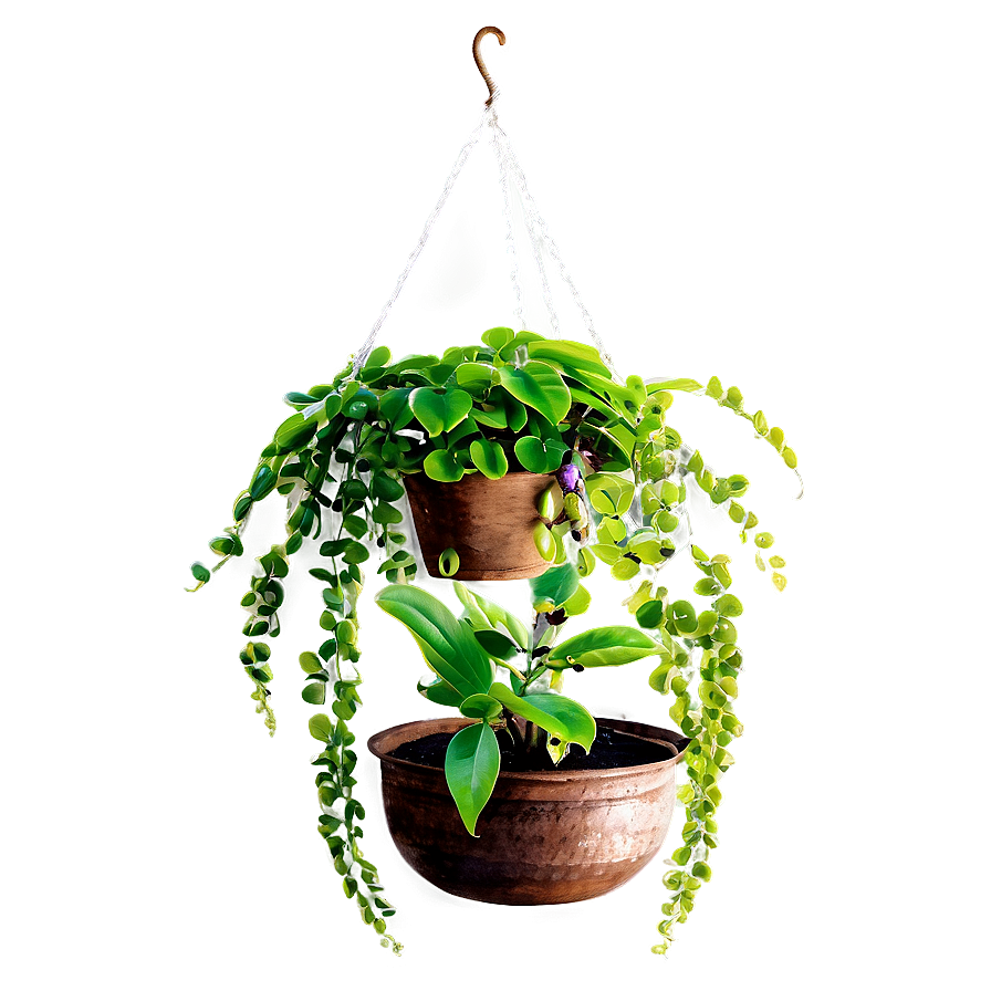 Large Hanging Plant Png Jeg PNG Image