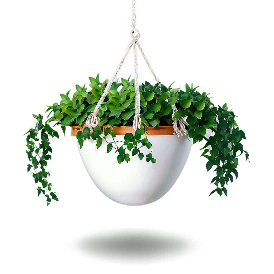 Large Hanging Plant Png Pfn69 PNG Image