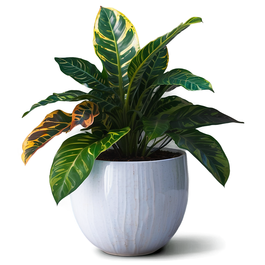 Large Indoor Plants Png Ecl PNG Image