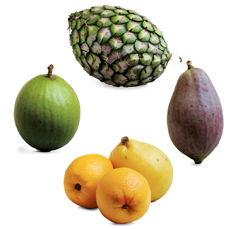 Latin America Tropical Fruits Png 06292024 PNG Image