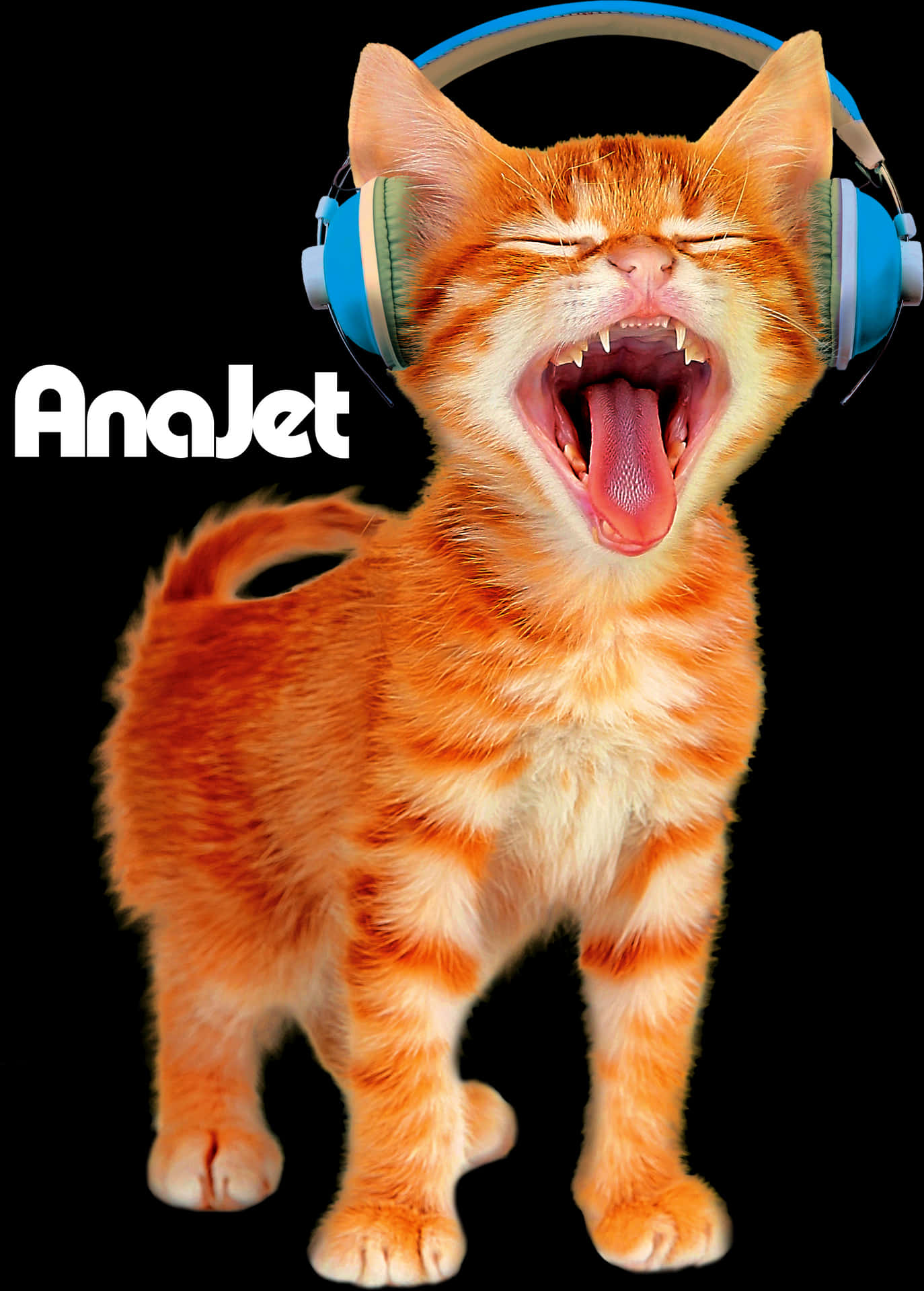 Laughing Orange Catwith Headphones PNG Image