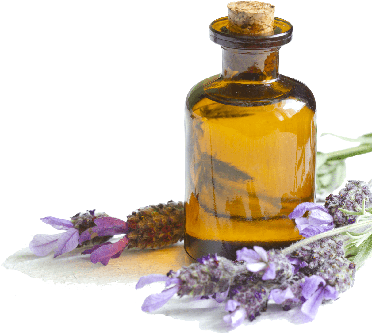 Lavender Essential Oiland Flowers.png PNG Image