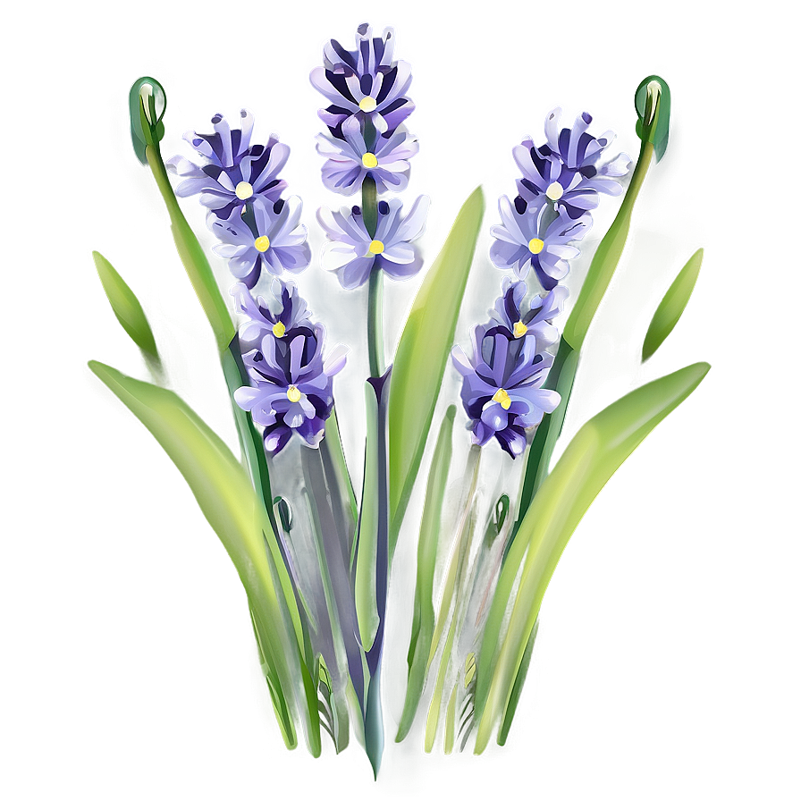 Lavender Field Flower Png 35 PNG Image