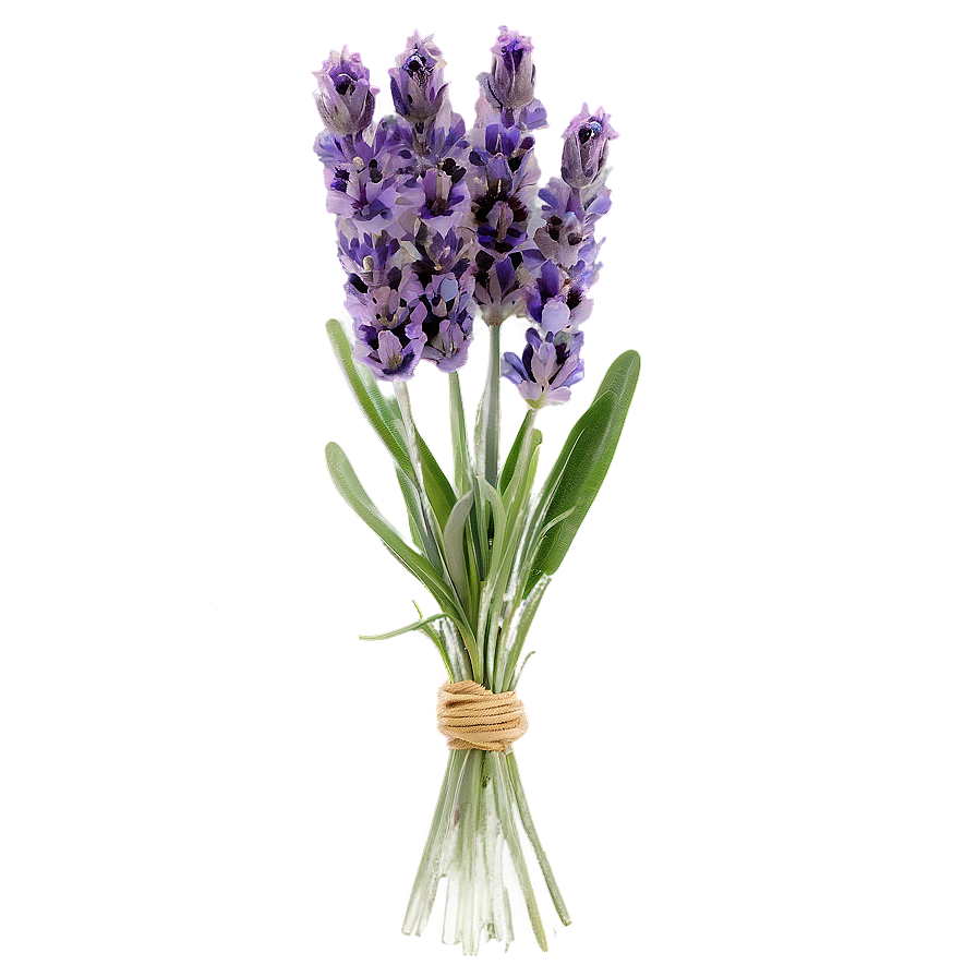 Lavender Floral Arrangement Png 3 PNG Image