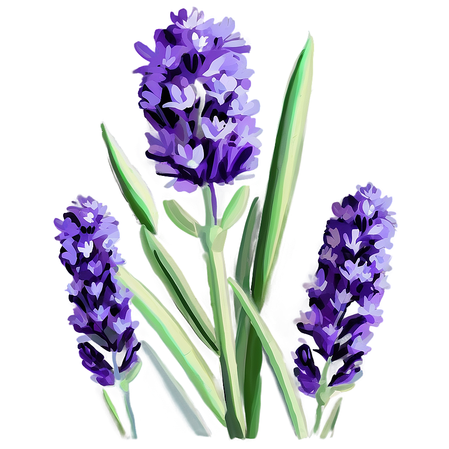 Lavender Floral Png Ean67 PNG Image