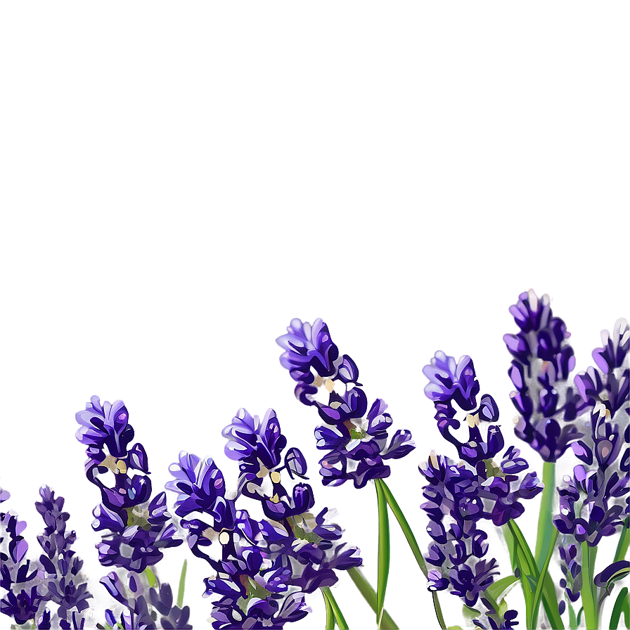 Lavender Flower Border Png 1 PNG Image