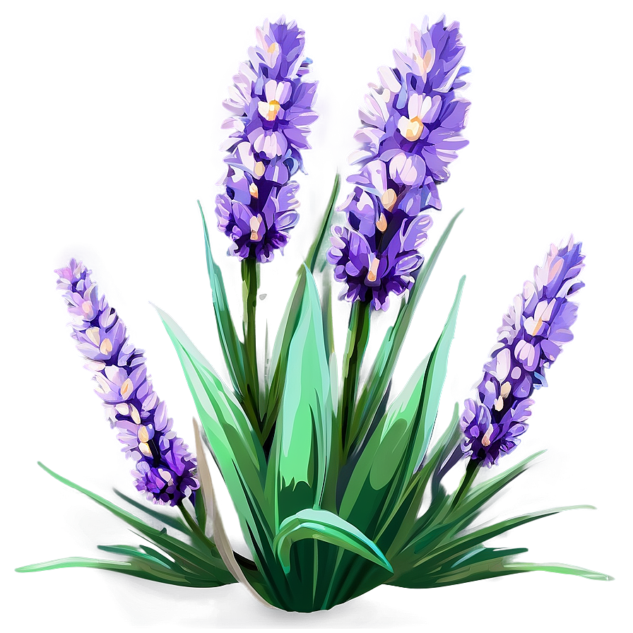 Lavender Flower Bush Png 60 PNG Image