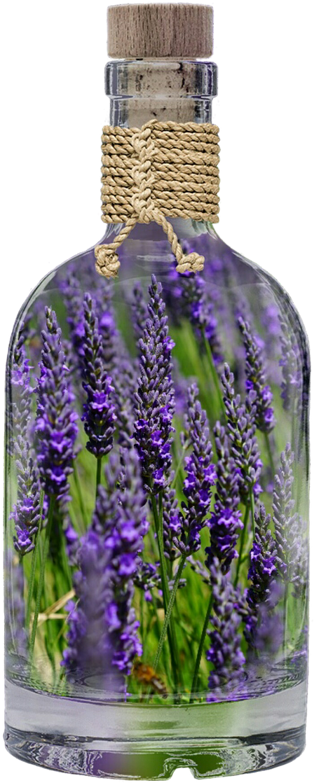 Lavender In Glass Bottle PNG Image