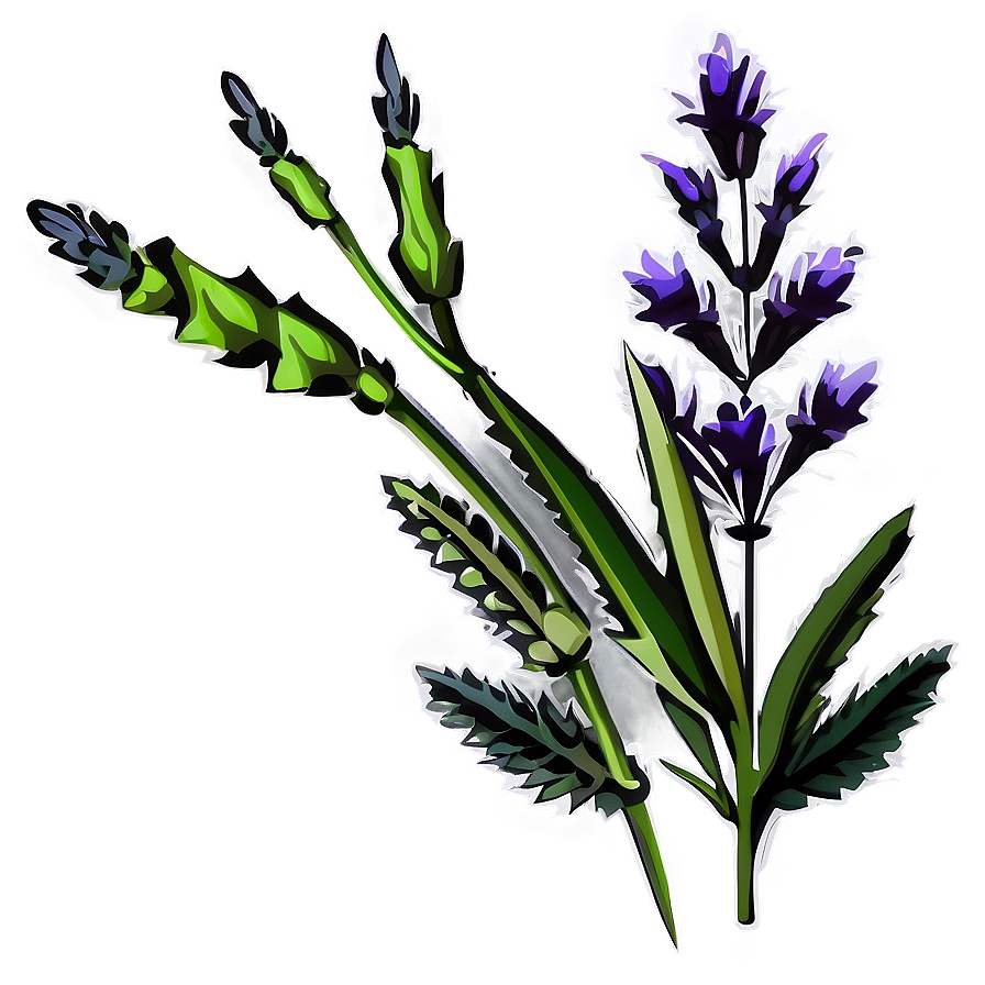 Lavender Plant Silhouette Png Otw PNG Image