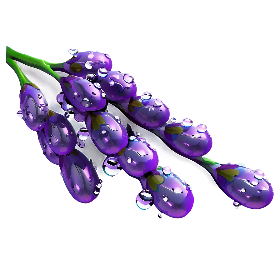 Lavender Sprig Water Droplets Png Nhh78 PNG Image