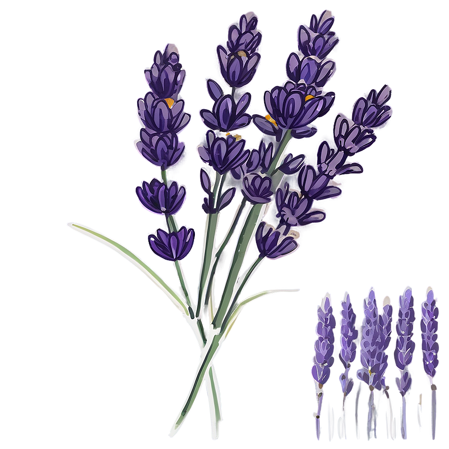 Lavender Vintage Illustration Png Kse50 PNG Image