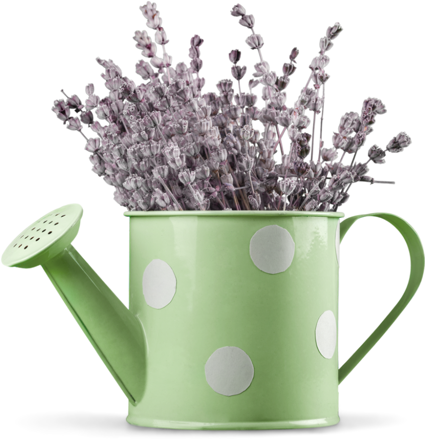 Lavenderin Green Watering Can PNG Image