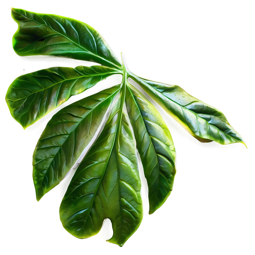 Leaf Background Png 67 PNG Image