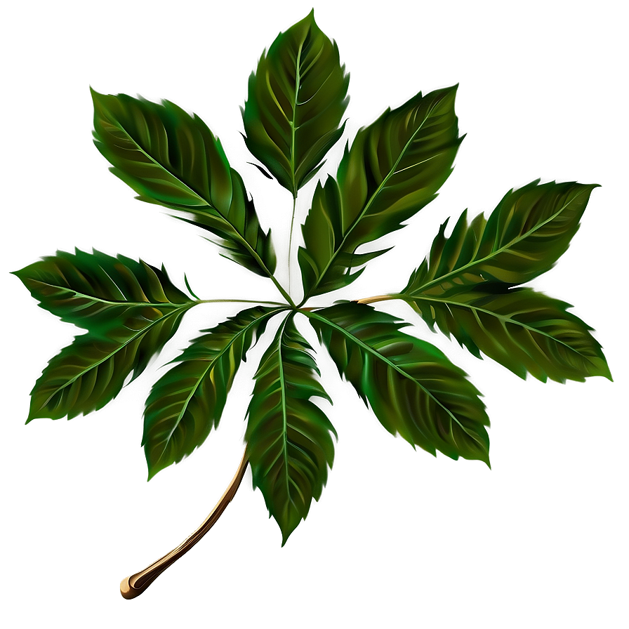 Leaf Branch Png Jjo PNG Image