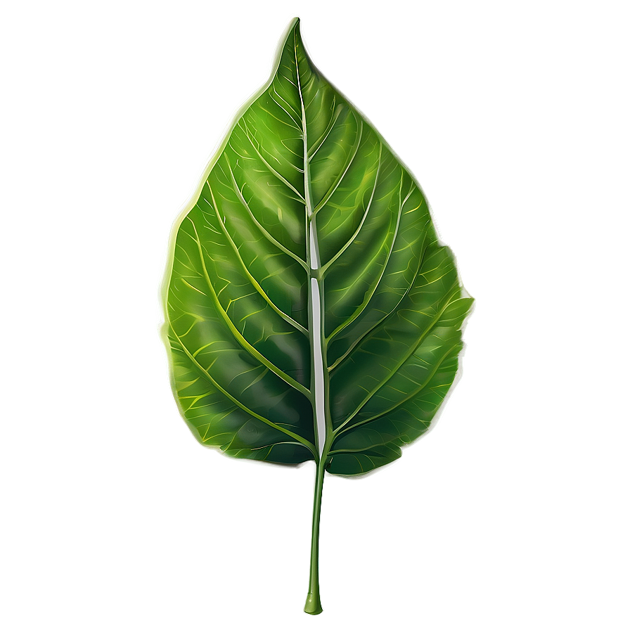 Leaf Branch Png Ock PNG Image