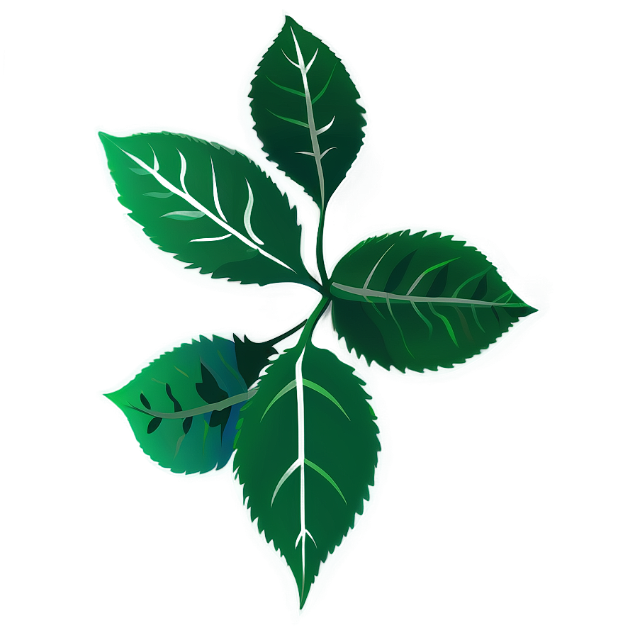 Leaf Design Png Jlw27 PNG Image