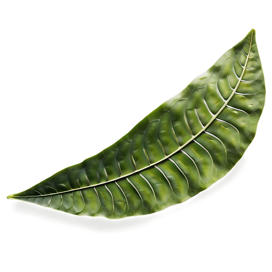 Leaf Detail Png Tgo PNG Image