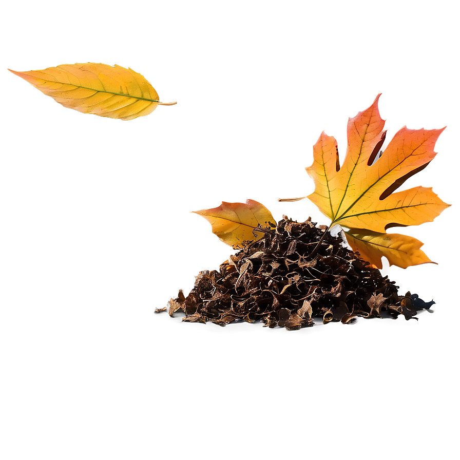 Leaf Pile Fall Png 14 PNG Image