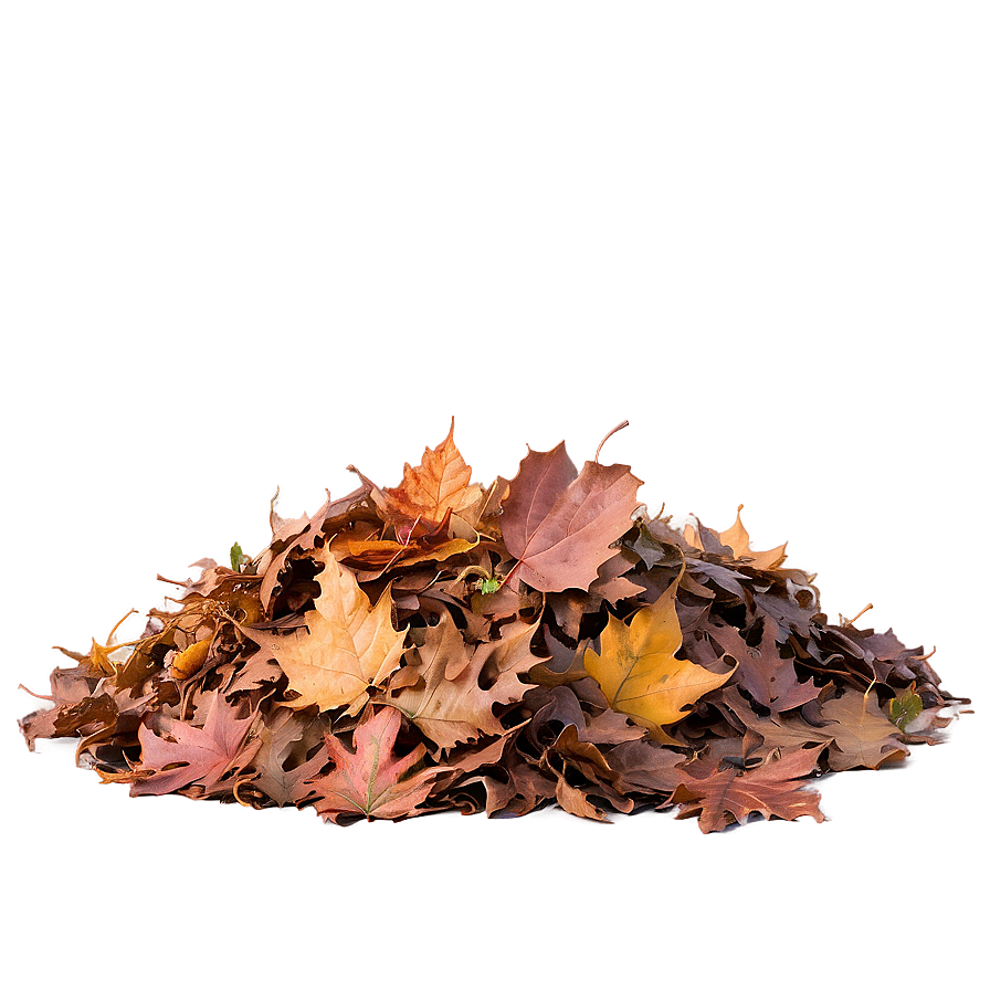 Leaf Pile In Park Png Jda PNG Image