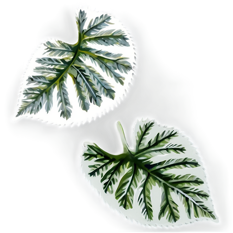 Leaf Shape Png Nfc PNG Image