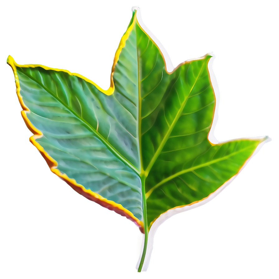 Leaf Shape Png Ruj44 PNG Image