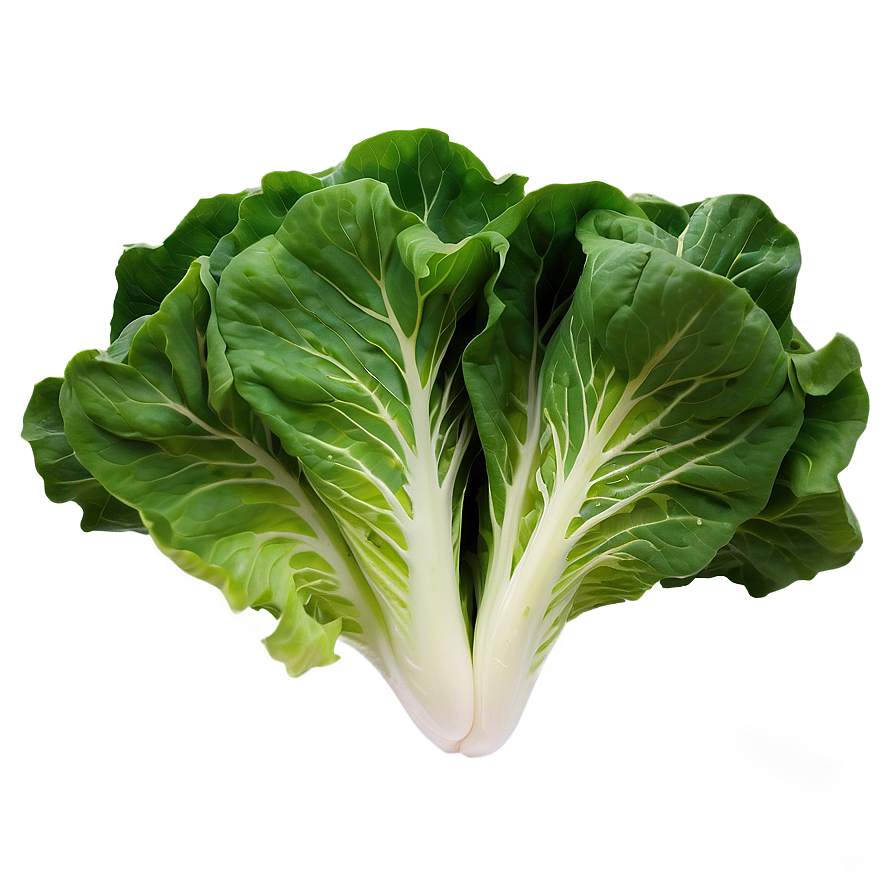 Leafy Green Lettuce Png Sgm PNG Image