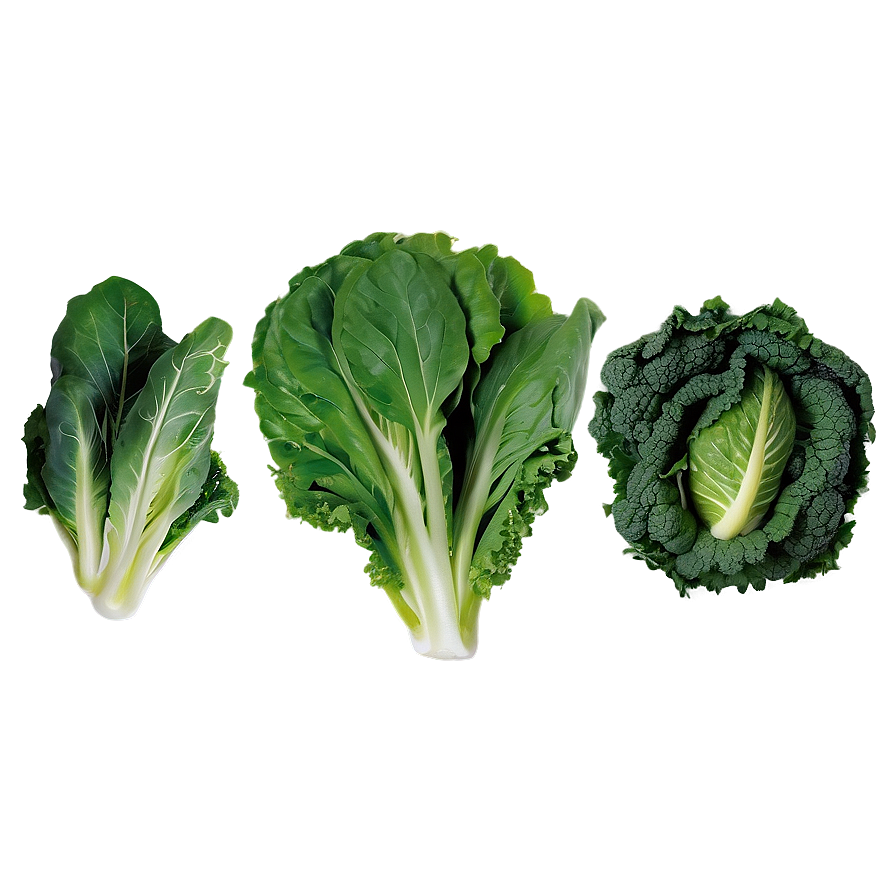 Leafy Greens Vegetables Png Ted91 PNG Image