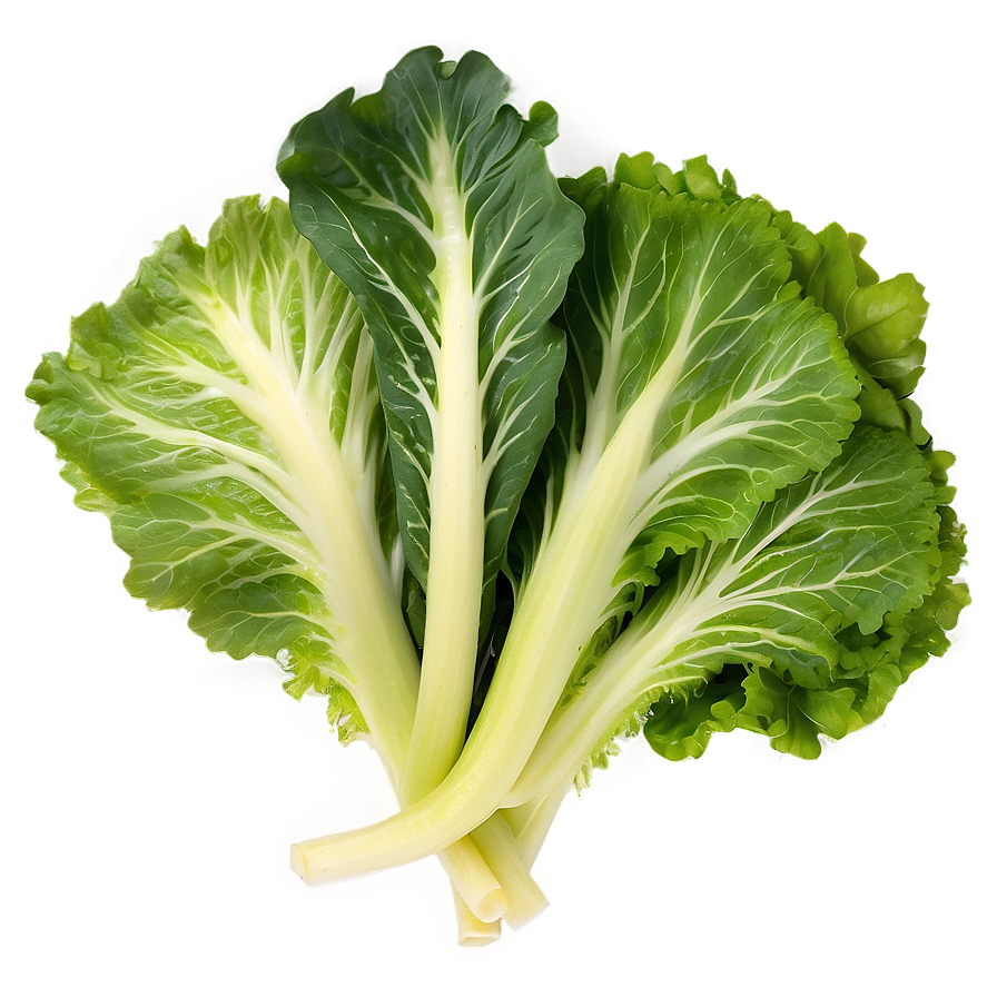 Leafy Greens Vegetables Png Uvt PNG Image