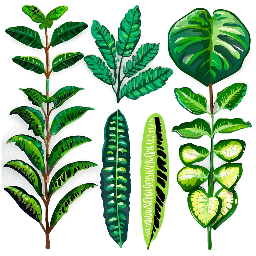 Leafy Plants Png 05042024 PNG Image